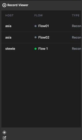 Unassigned Record Viewer with its flow picker