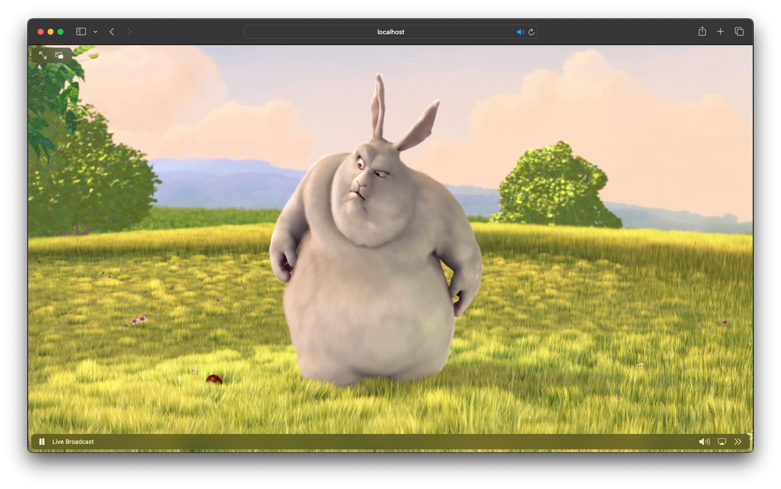 Screenshot 2023-11-27 at 15.33.19.png