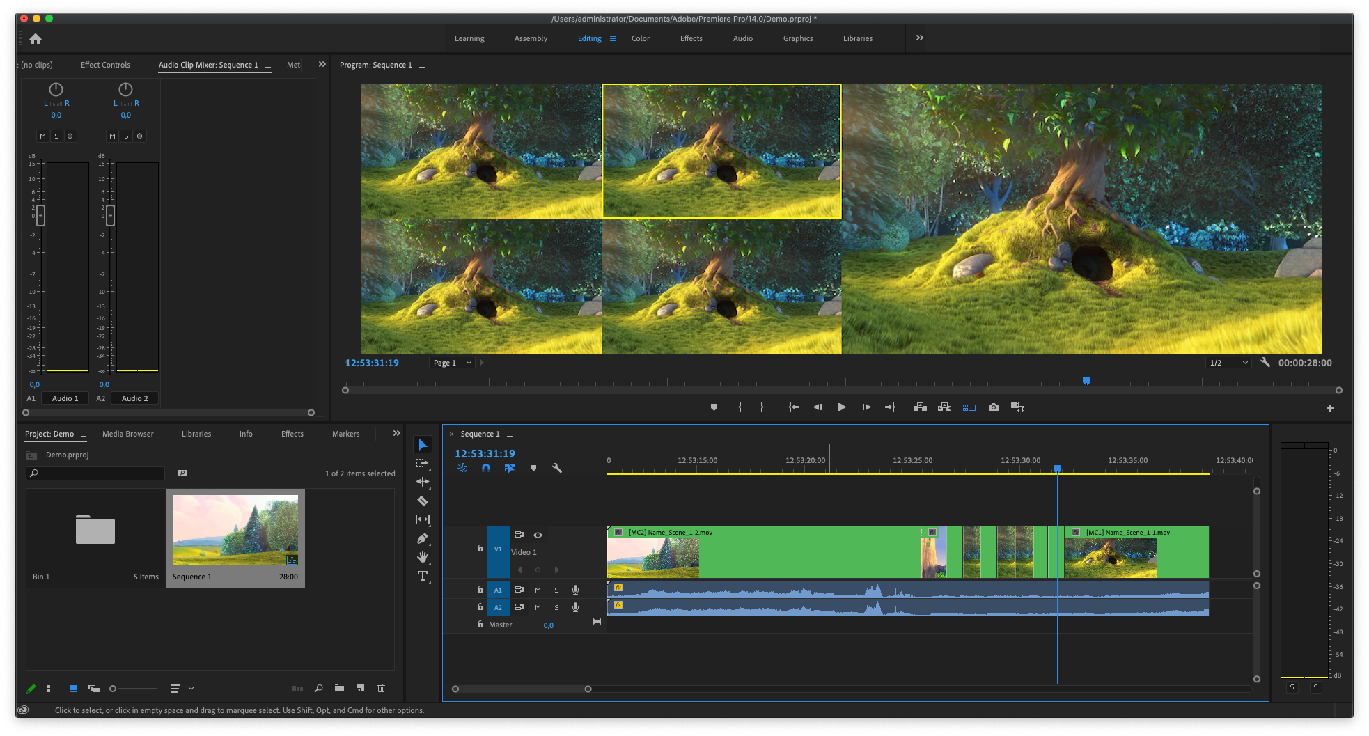 multicamxml.png