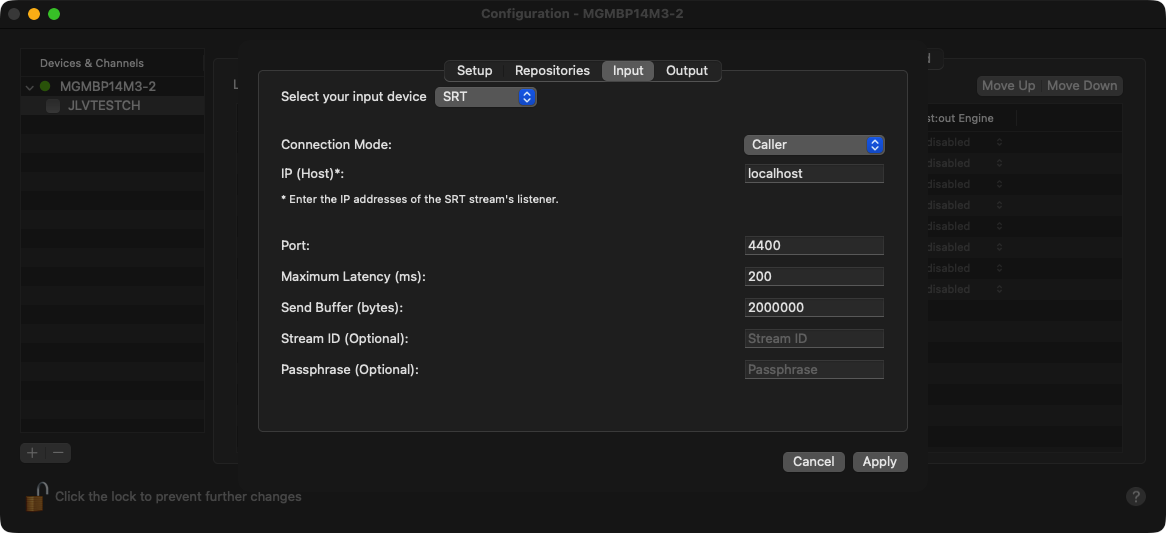 PLAYPRO2025.4_configinput_SRT.png