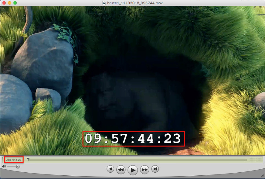 Capture Presets (Just In Engine Linux v1.5) screenshot 3