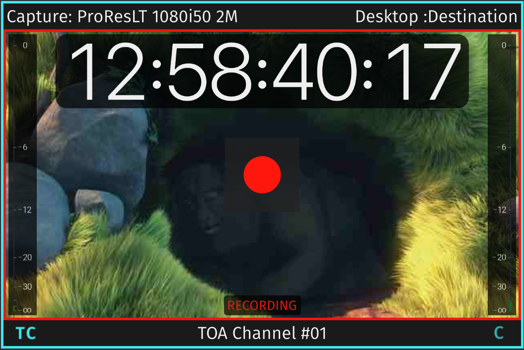 Channel View – Overview (Just In v3.5) screenshot 6