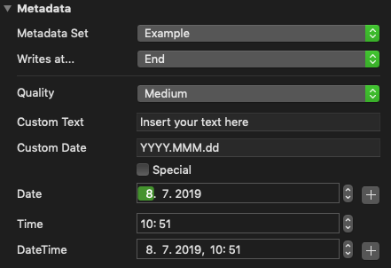 Metadata Sets (4.0) screenshot 1