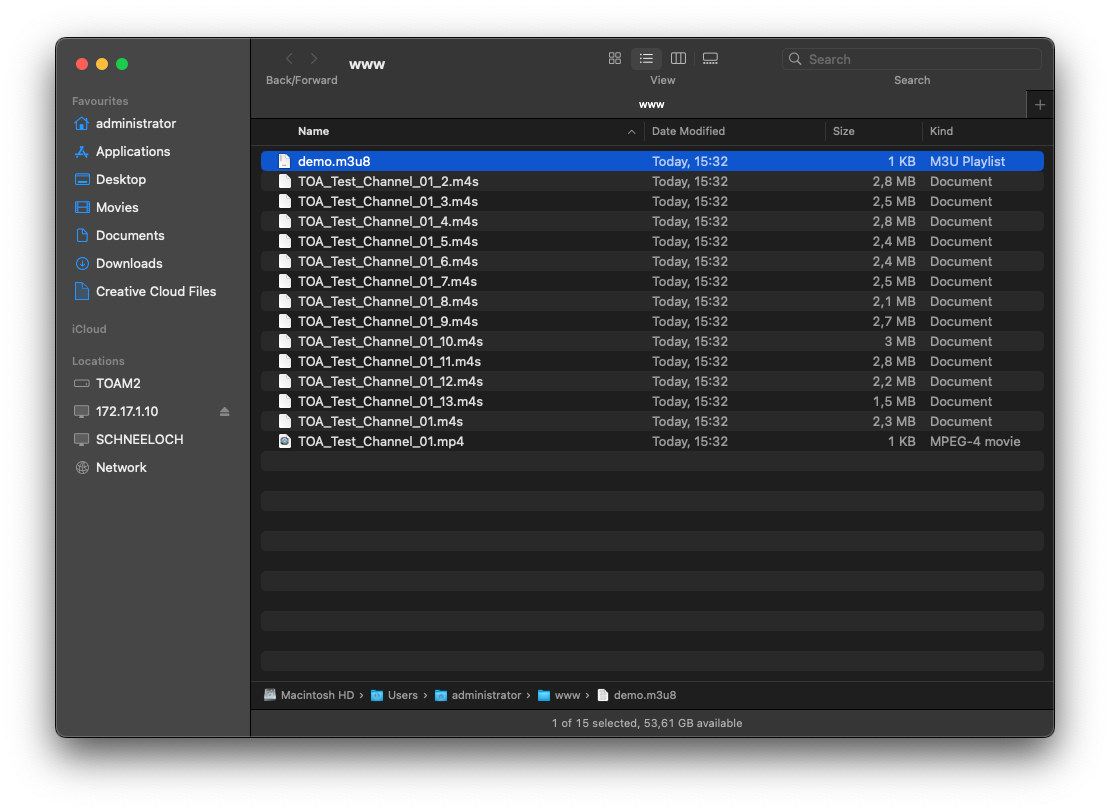 HLS Output v.2025.1 screenshot 6