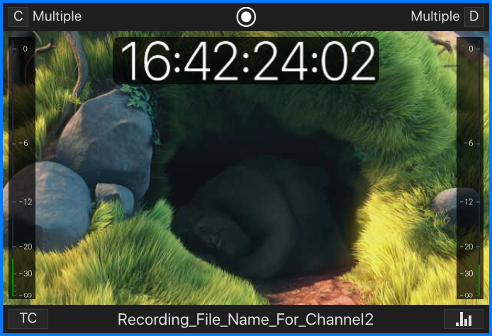 Channel Viewer (5.1) screenshot 14