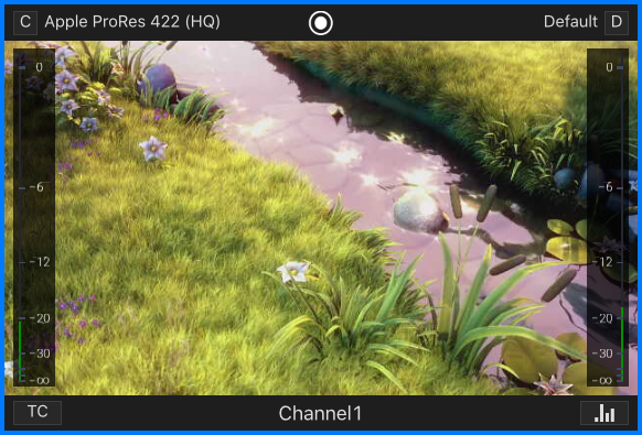 Channel Viewer v.5.5 screenshot 2