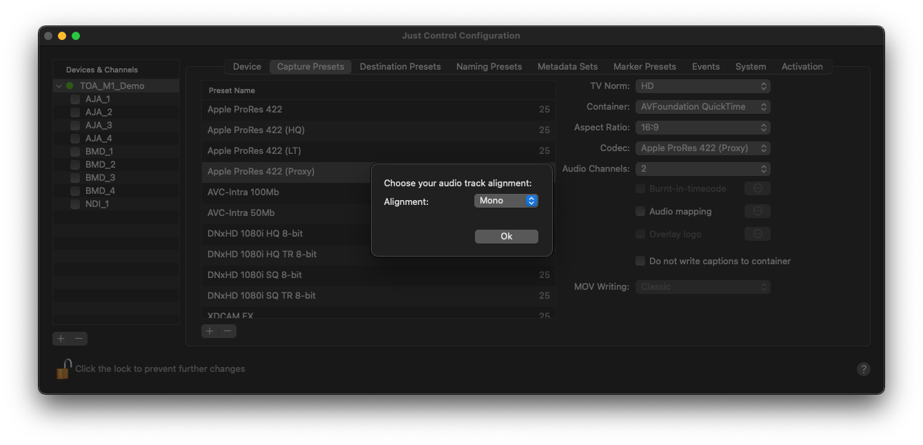 Capture Presets v.5.5 screenshot 7