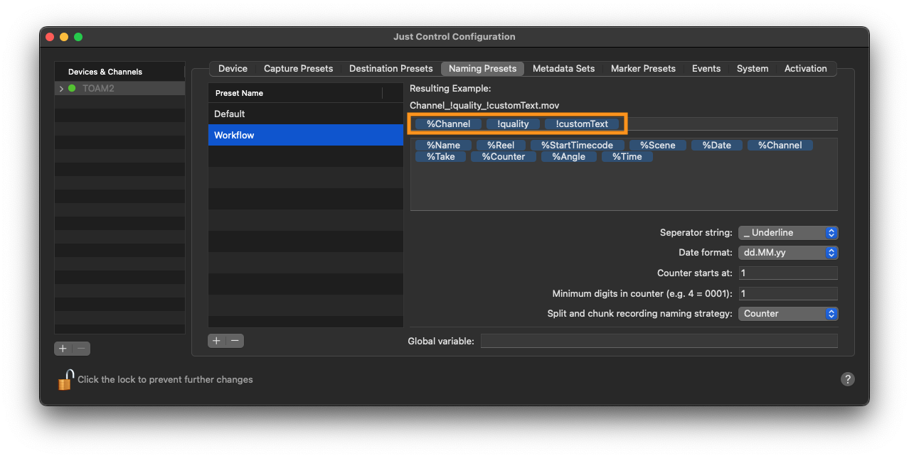 Metadata and Naming Presets with Custom Overlays v.6.0 screenshot 2