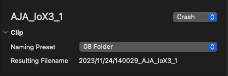 Naming Presets v.6.1 screenshot 17