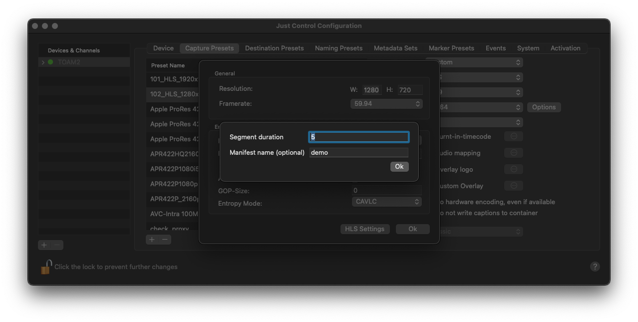 HLS Output v.6.2 screenshot 3