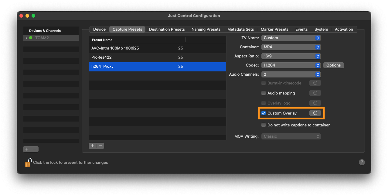 Metadata and Naming Presets with Custom Overlays v.6.2 screenshot 5