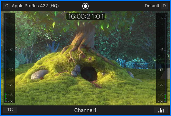 Channel Viewer v.6.5 screenshot 4