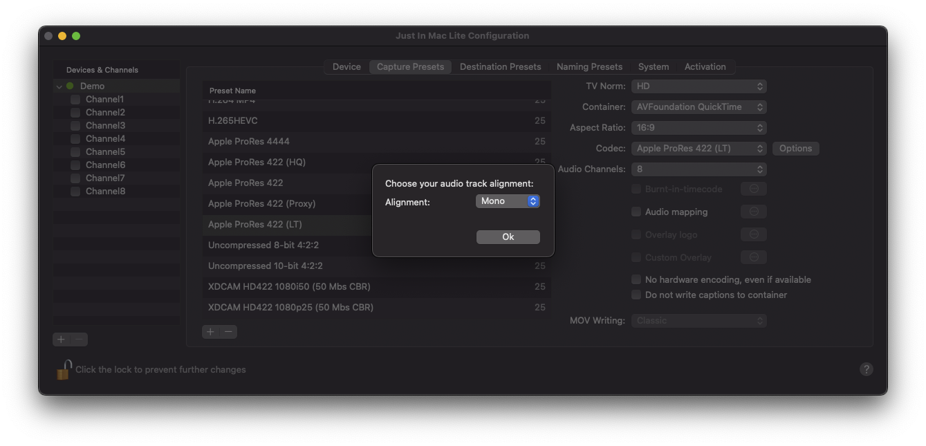 Capture Presets v.2025.1 screenshot 6