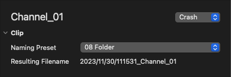 Naming Presets v.6.x screenshot 17
