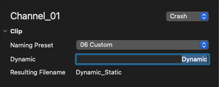 Naming Presets v.6.x screenshot 5