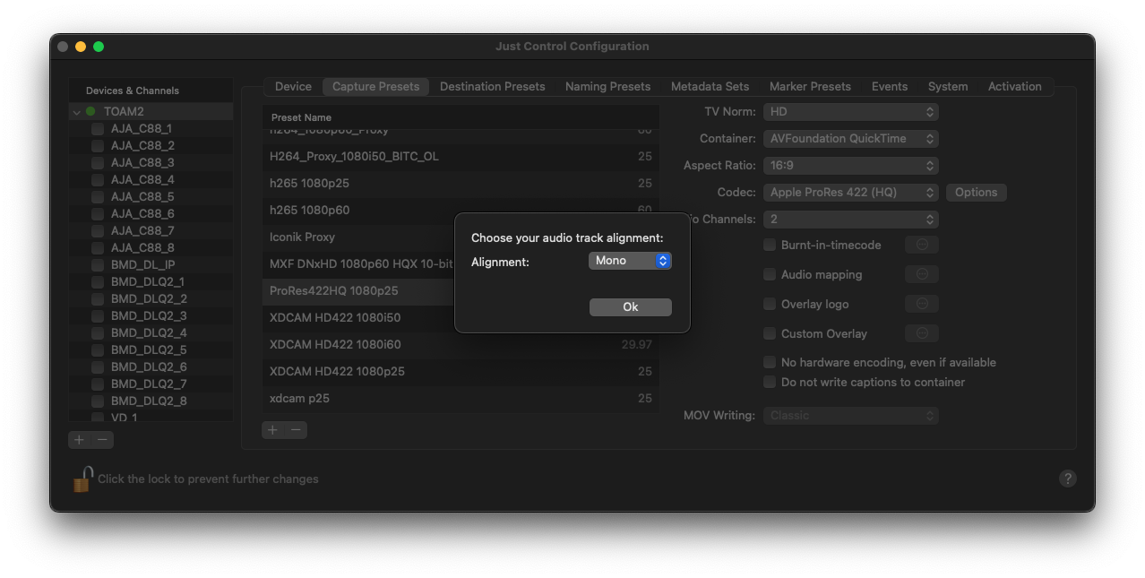 Capture Presets v.2025.x screenshot 6