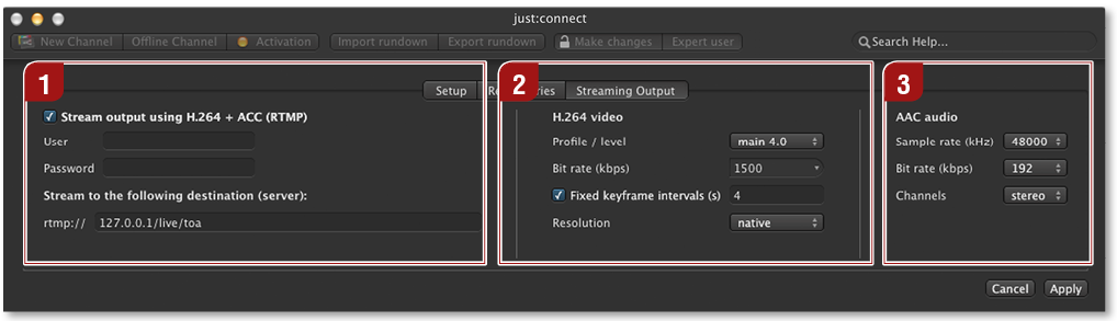 13.17 Configuring Optional RTMP Streaming Output screenshot 2